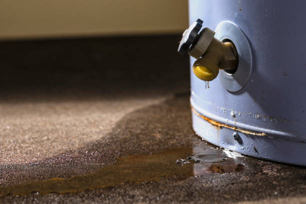 Best Flood restoration services  in East Lake Orient Park, FL