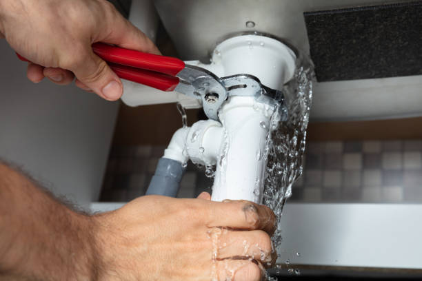 Best Commercial water damage restoration  in East Lake Orient Park, FL