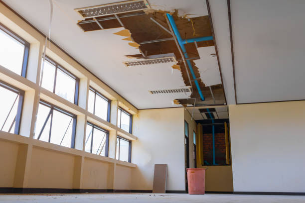 Best 24-hour water damage restoration  in East Lake Orient Park, FL