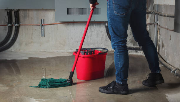 Carpet water damage restoration in FL