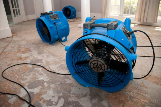 Best 24/7 water damage repair  in East Lake Orient Park, FL