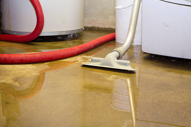 Best Local water damage restoration  in East Lake Orient Park, FL