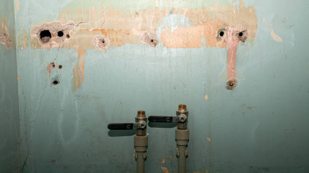 Best Carpet water damage restoration  in East Lake Orient Park, FL