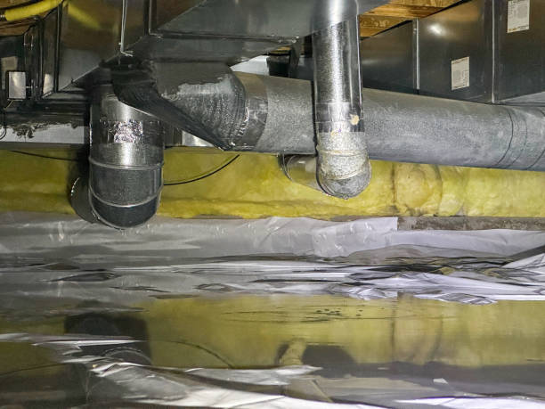 Best Flood damage cleanup  in East Lake Orient Park, FL