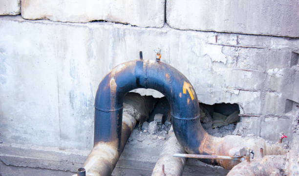 Best Basement water damage restoration  in East Lake Orient Park, FL