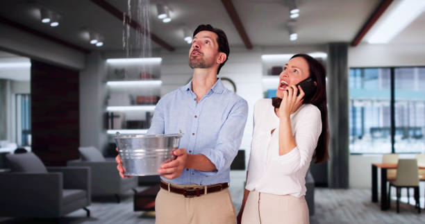 Best Mold removal after water damage  in East Lake Orient Park, FL
