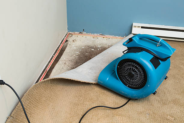 Best Residential water damage restoration  in East Lake Orient Park, FL